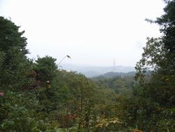 teizan