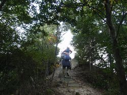 最高峰