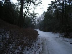 登山道2