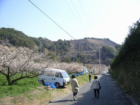 梅林