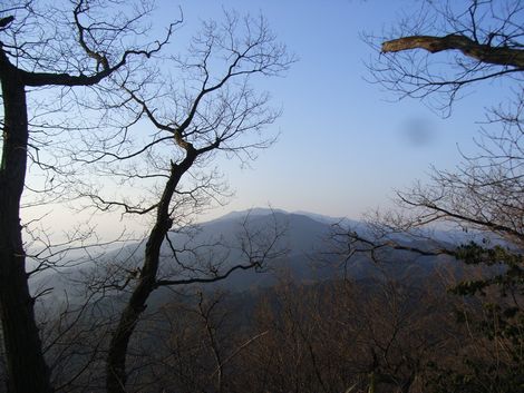 katuragizan