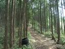 tozandou