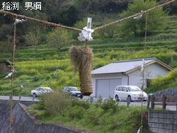 男綱