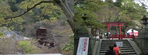 dandan_jinjya