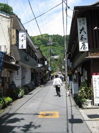 sandou