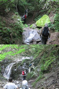 登山道