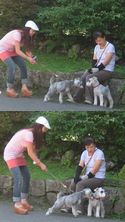 ミミ達