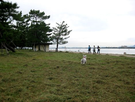 biwako
