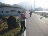 3 michi