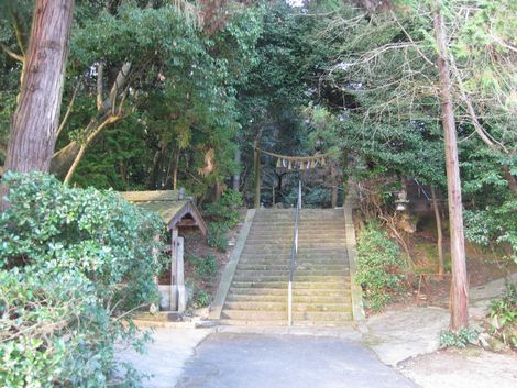 1jinjya