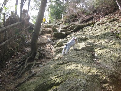tozandou 3