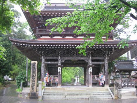 1 tanigumisan