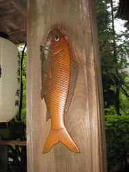4 koi