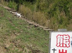 kumakanban