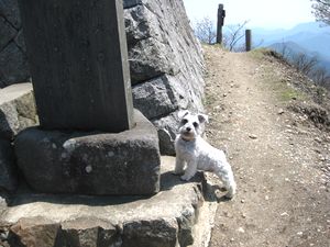 mimi