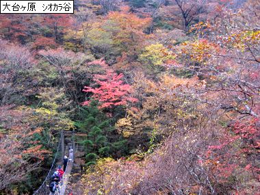 0911 shiokaradani