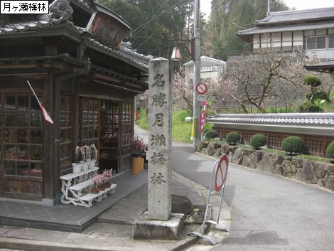 tuki 1