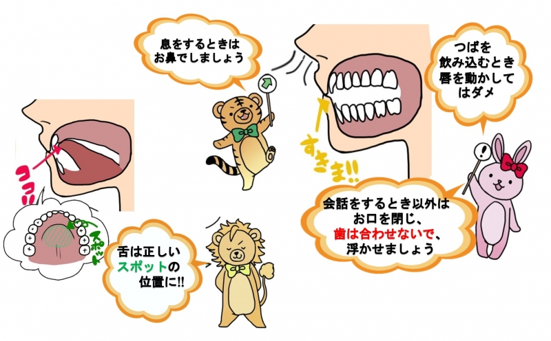 癖付け