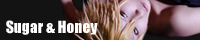 sh_banner.jpg