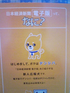 新人広報犬 デンシバ