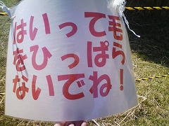はいって毛をひっぱらないでね!