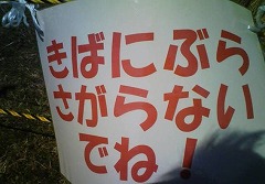 きばにぶらさがらないでね!