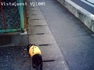 おしゃんぽ風景 その2