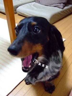 ふぁぁぁぁ。