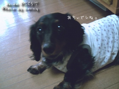 あちぃでしよねぇ。