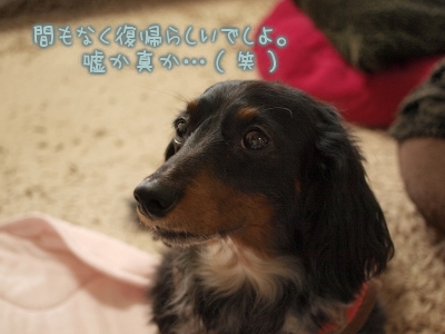 鋭意準備中。