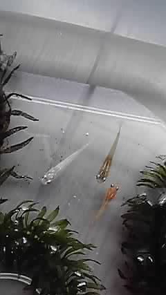 10-08-21_008.jpg