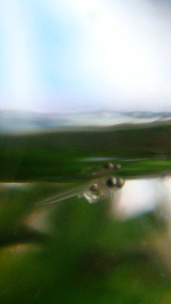 DSC010920.jpg