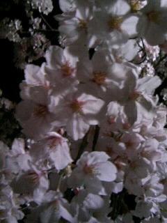 080411_2118~010001.JPG