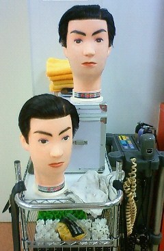 カットウィッグ