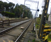 20090331133109.jpg