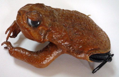 Amazon 本物のカエル 天然蛙で作った財布 小物入れ 小銭入れ ポシェット バッグ 財布 ホビー