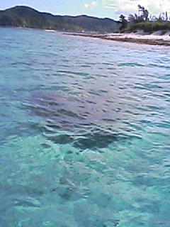 090815_0916~01.JPG