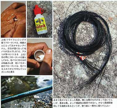 20120804p11.jpg