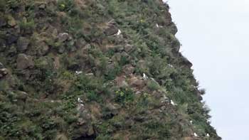 20120821p04.jpg