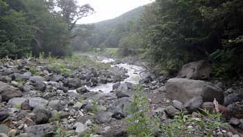 20120821p10.jpg