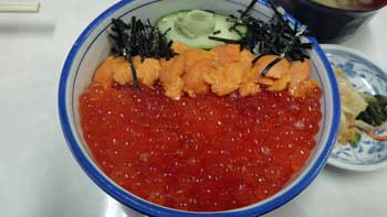 20120821p15.jpg