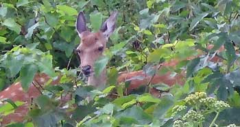 20120821p18.jpg
