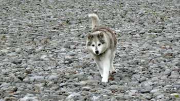 20120821p22.jpg