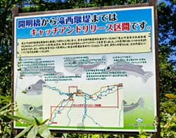 20140911p02.jpg