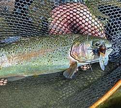 20140911p05.jpg