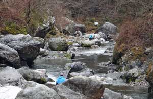 20150310p13.jpg