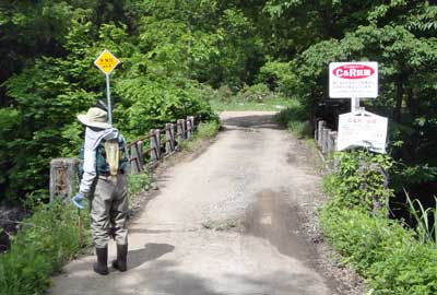 20150612z26.jpg