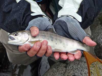 20150926z10.jpg