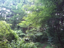 相模大野