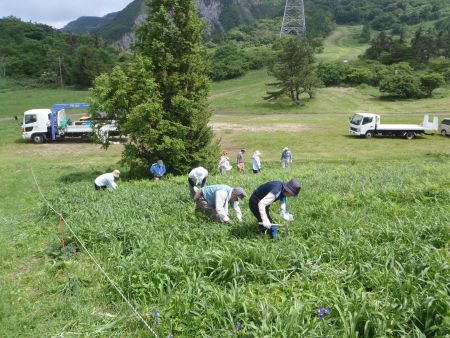 作業風景
